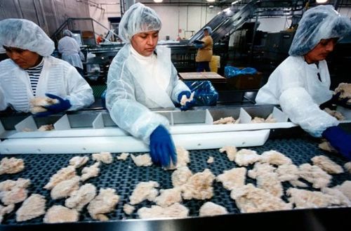 豬崽 安樂死 蔬菜爛地里......疫情撕裂食品供應(yīng)鏈 美國民眾 口糧 難安